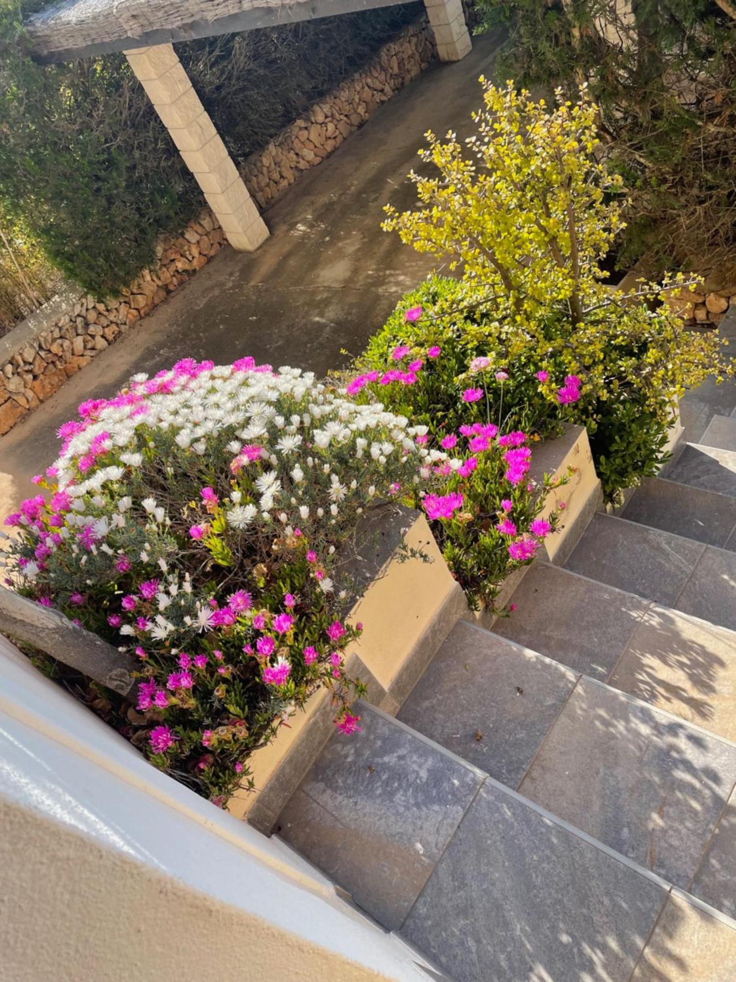 Villa Quatre Vents Punta Prima  Esterno foto